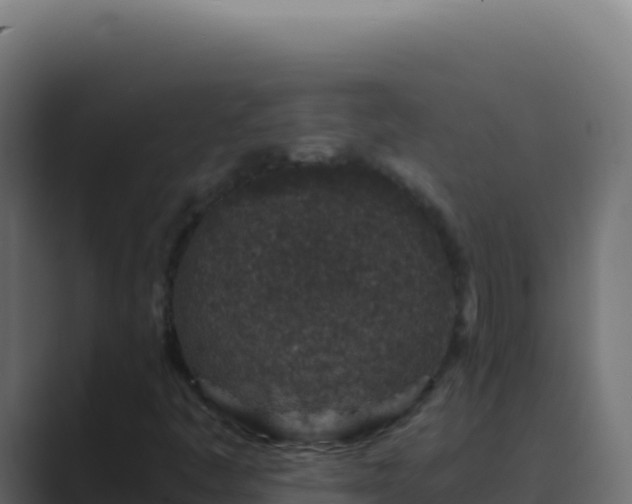 X0000089751445200706281617