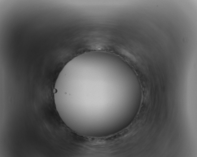 X0000089751446200706281617