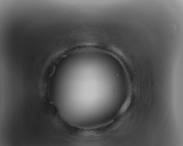 X0000089751448200706281617