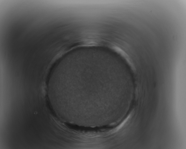 X0000089751449200706281617