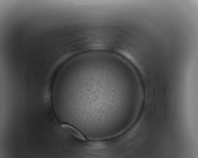 X0000089751450200706281617
