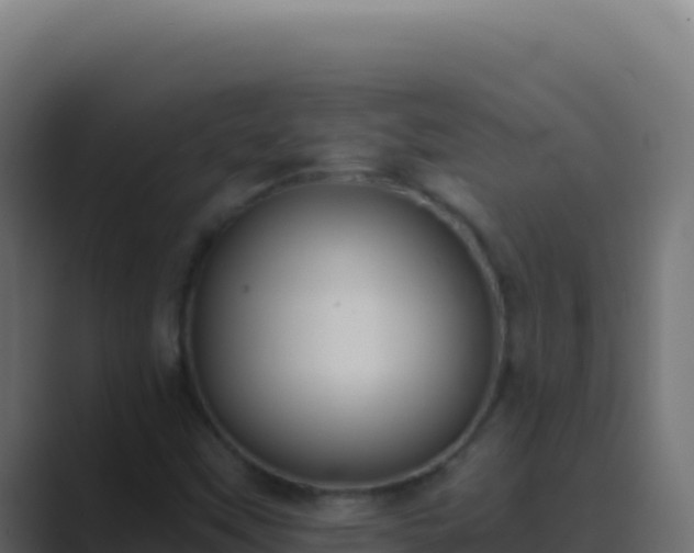 X0000089751451200706281617