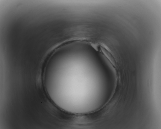 X0000089751452200706281617