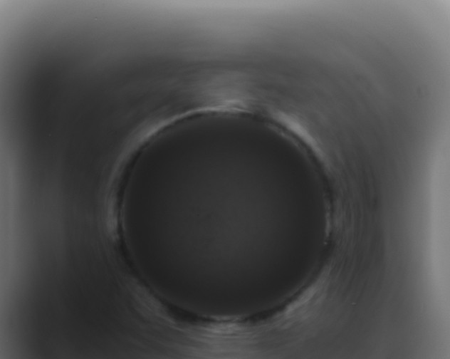 X0000089751455200706281617