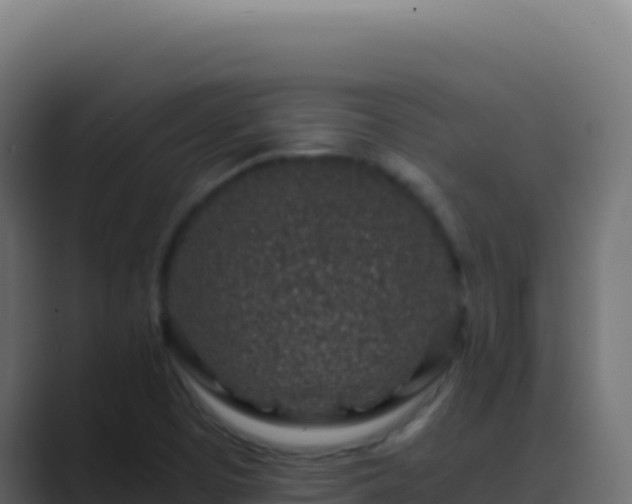 X0000089751457200706281617