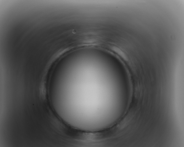 X0000089751458200706281617