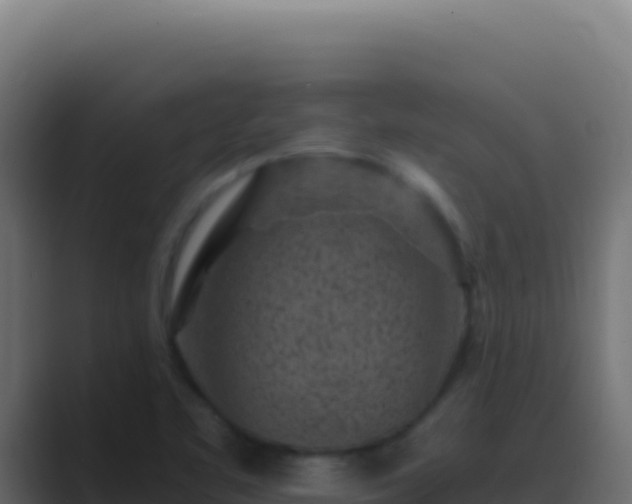 X0000089751461200706281617
