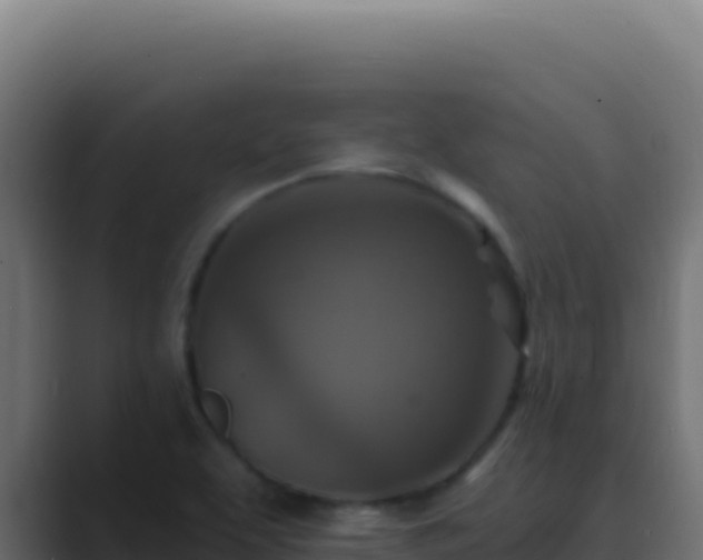 X0000089751463200706281617
