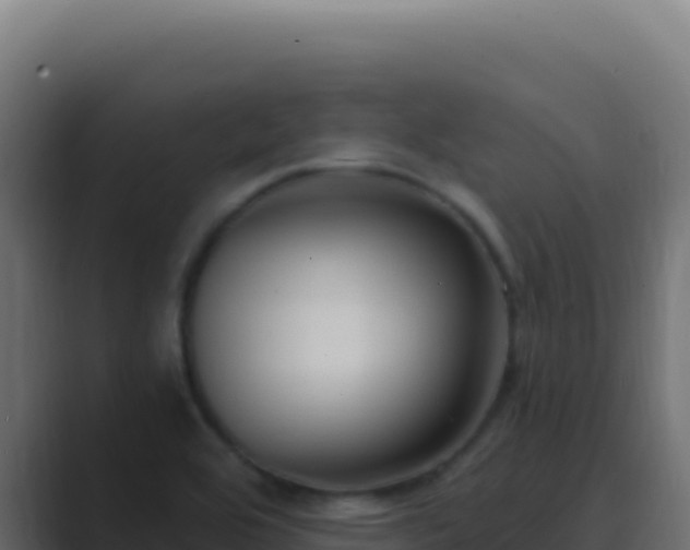 X0000089751464200706281617