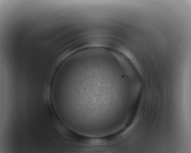 X0000089751465200706281617