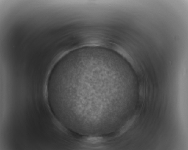 X0000089751466200706281617