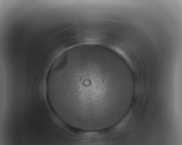X0000089751467200706281617