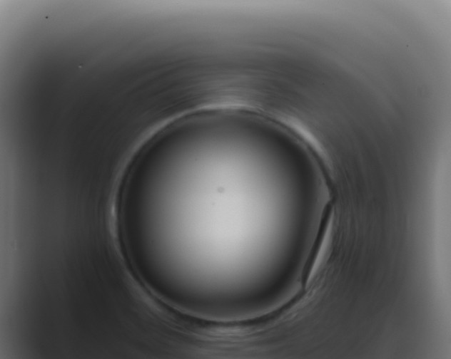 X0000089751468200706281617
