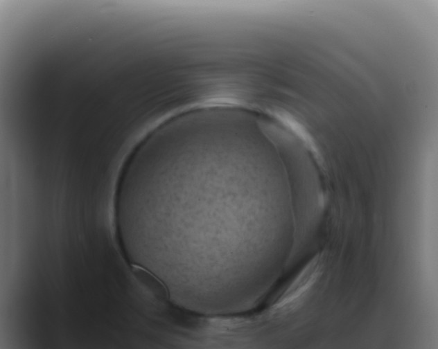 X0000089751469200706281617
