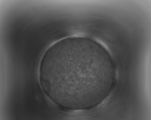 X0000089751471200706281617