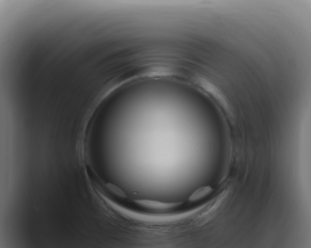 X0000089751473200706281617