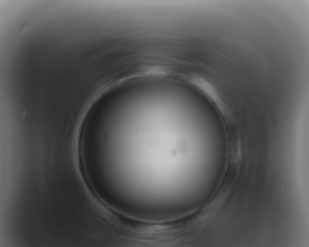 X0000089751475200706281617