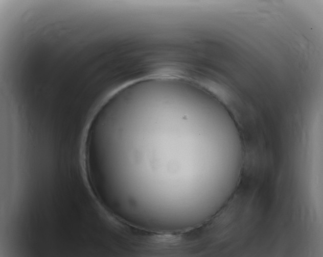 X0000089751478200706281617