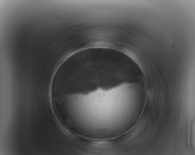 X0000089751482200706281617