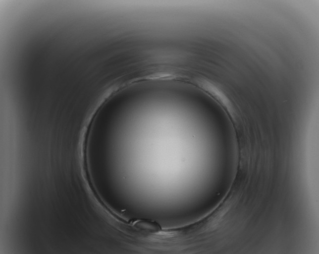 X0000089751483200706281616