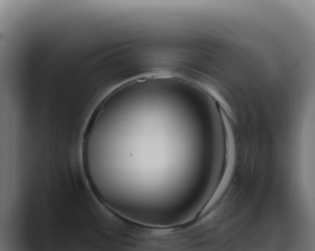 X0000089751484200706281616