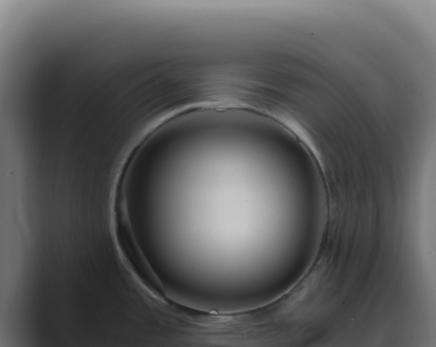 X0000089751485200706281616