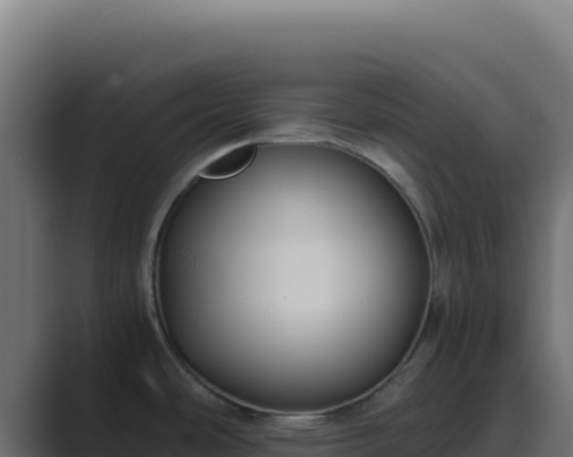 X0000089751486200706281616