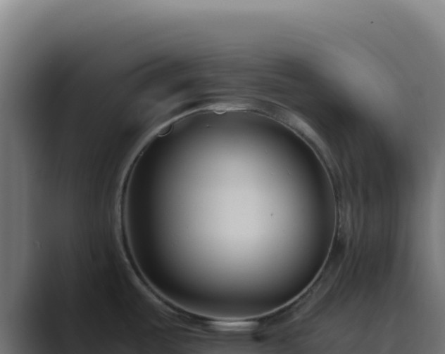 X0000089751487200706281616