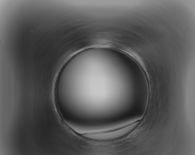 X0000089751488200706281616
