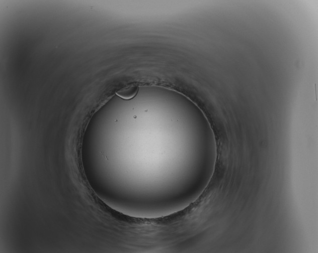 X0000089751489200706281616