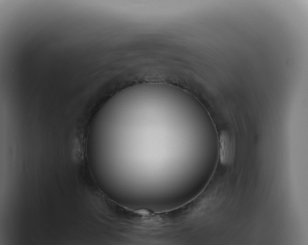 X0000089751491200706281616