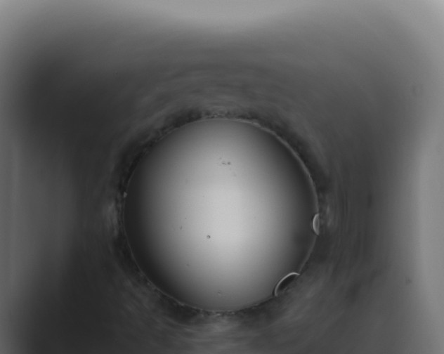X0000089751493200706281616