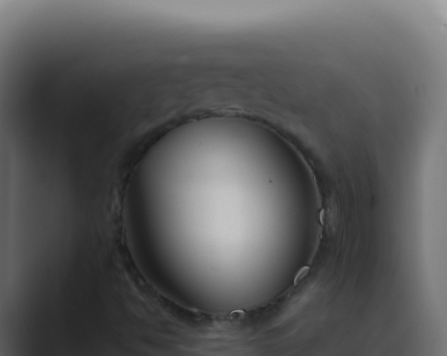 X0000089751494200706281616
