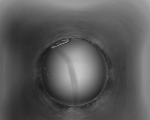 X0000089751496200706281616