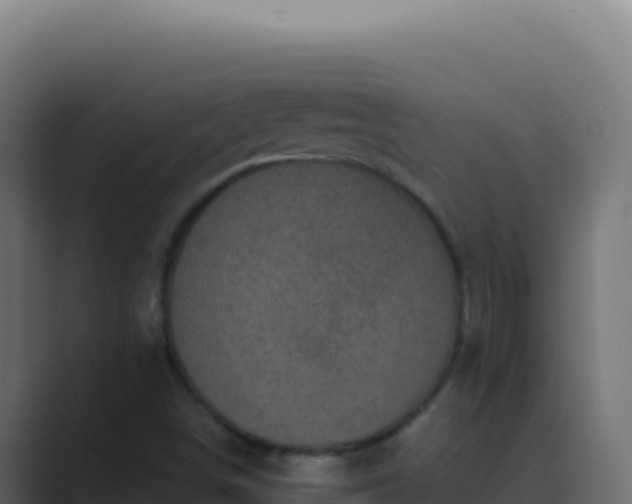 X0000089751498200706281616