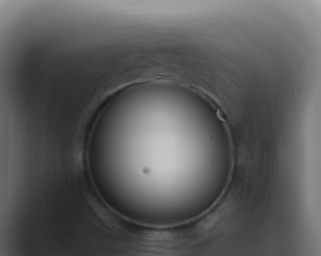 X0000089751499200706281616
