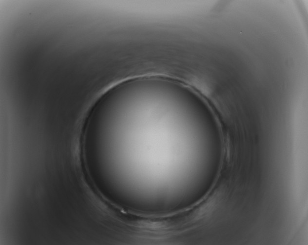 X0000089751500200706281616