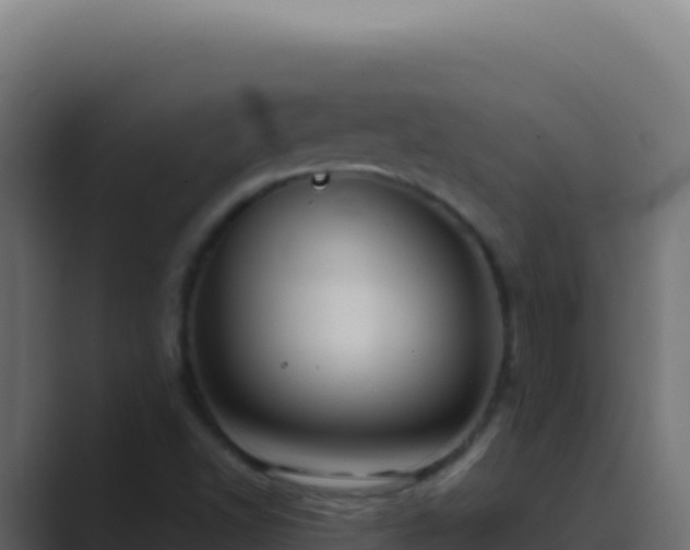 X0000089751502200706281616