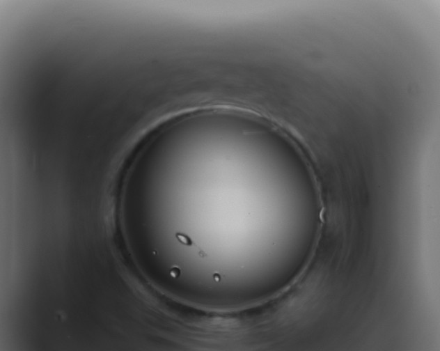 X0000089751503200706281616