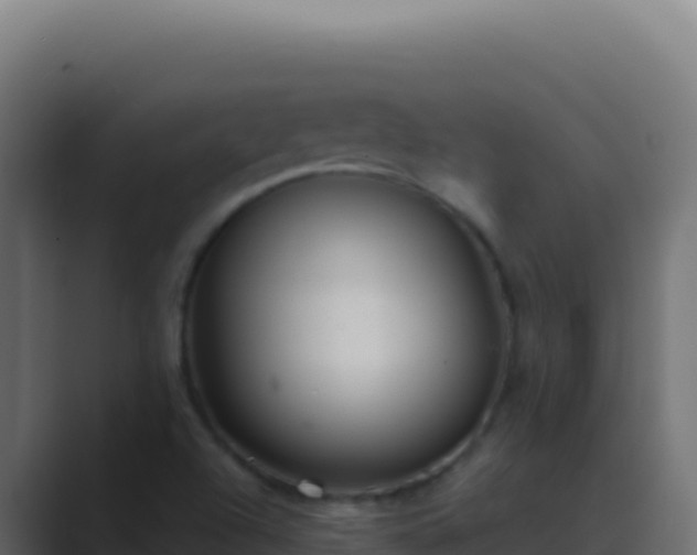 X0000089751504200706281616