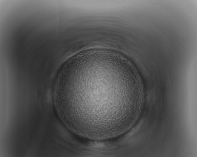 X0000089751505200706281616