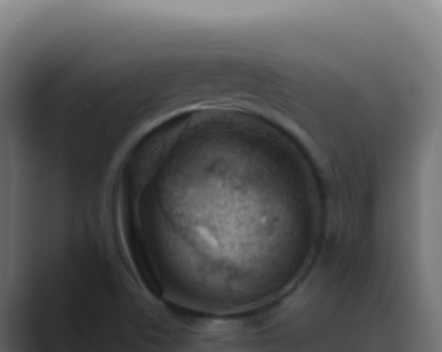 X0000089751506200706281616