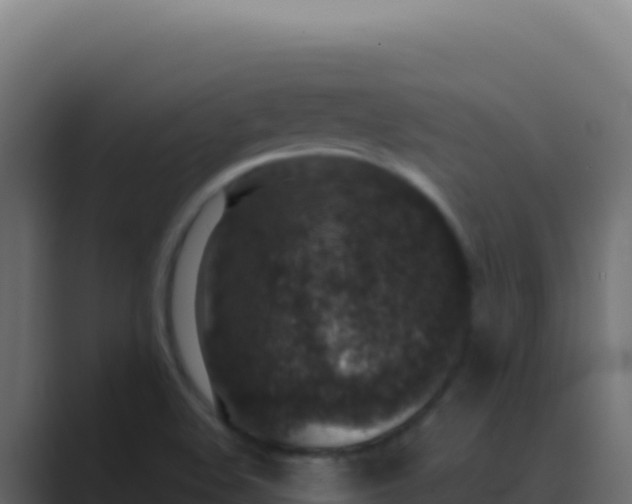 X0000089751508200706281616