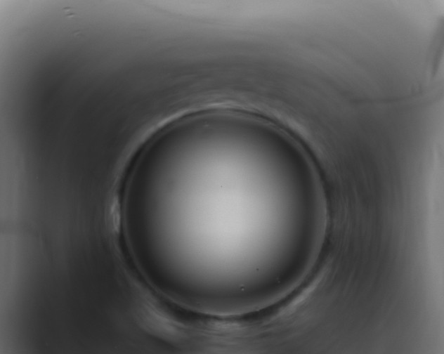 X0000089751509200706281616