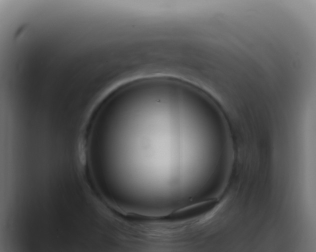 X0000089751510200706281616