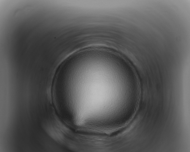 X0000089751513200706281616
