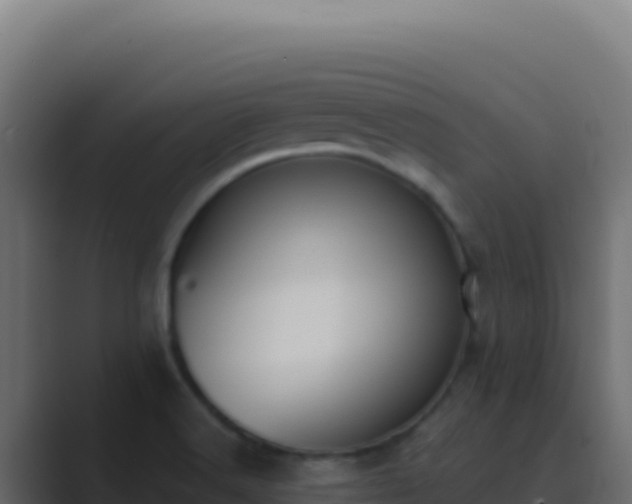 X0000089751516200706281616