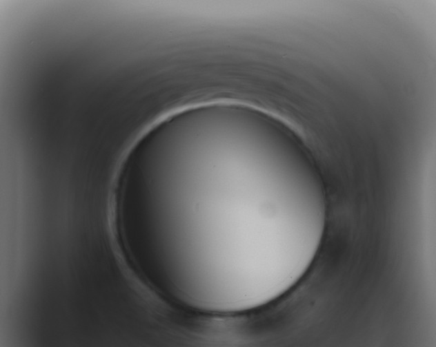 X0000089751518200706281616