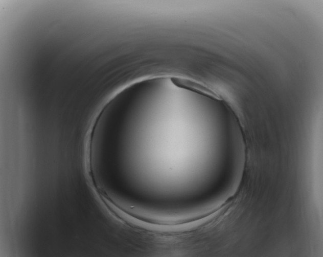 X0000089751528200706281616