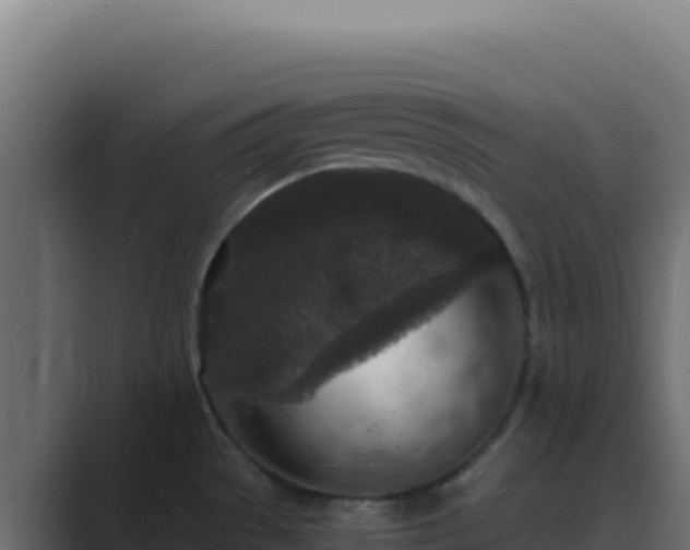 X0000089751529200706281616